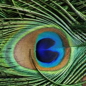 Meet your Posher, Paula